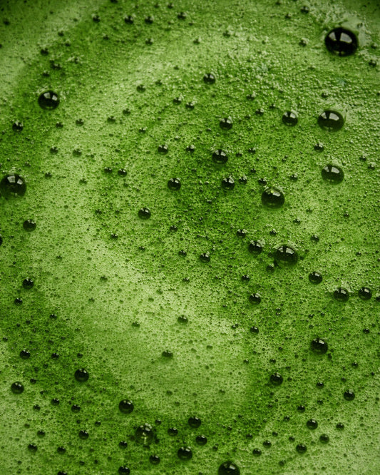 Why Supergreens Are Essential for a Modern Wellness Routine