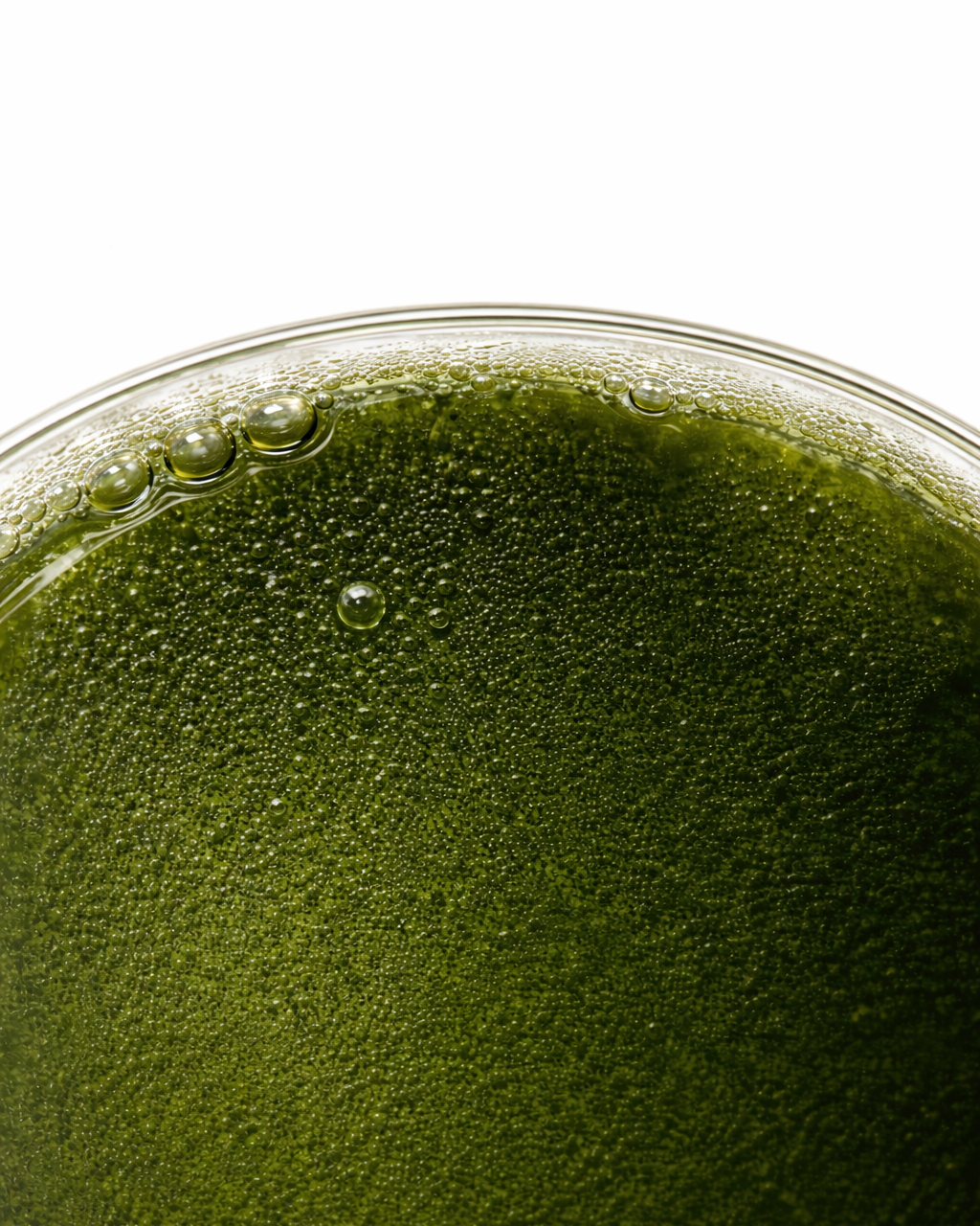 Why choose the Ultimate Weight Loss Bundle?